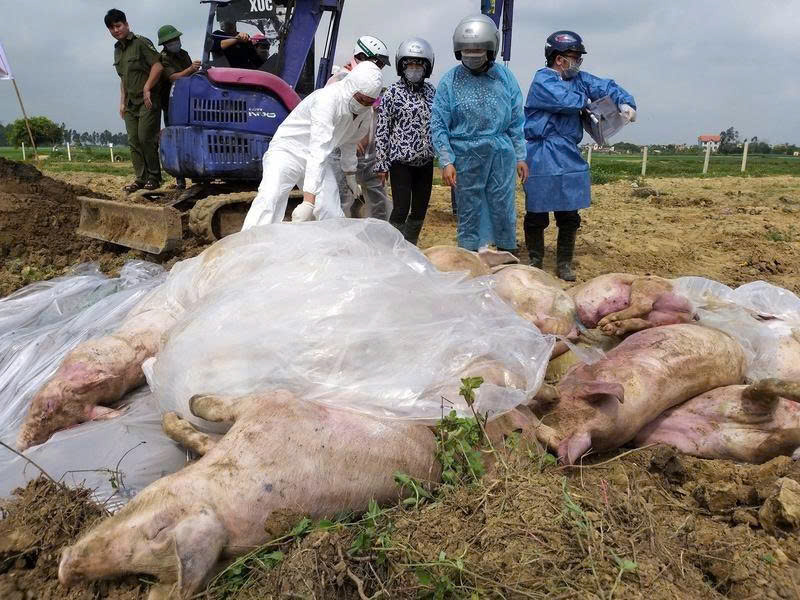 Dich-ta-lon-Chau-Phi-dien-bien-phuc-tap_db-1.jpg