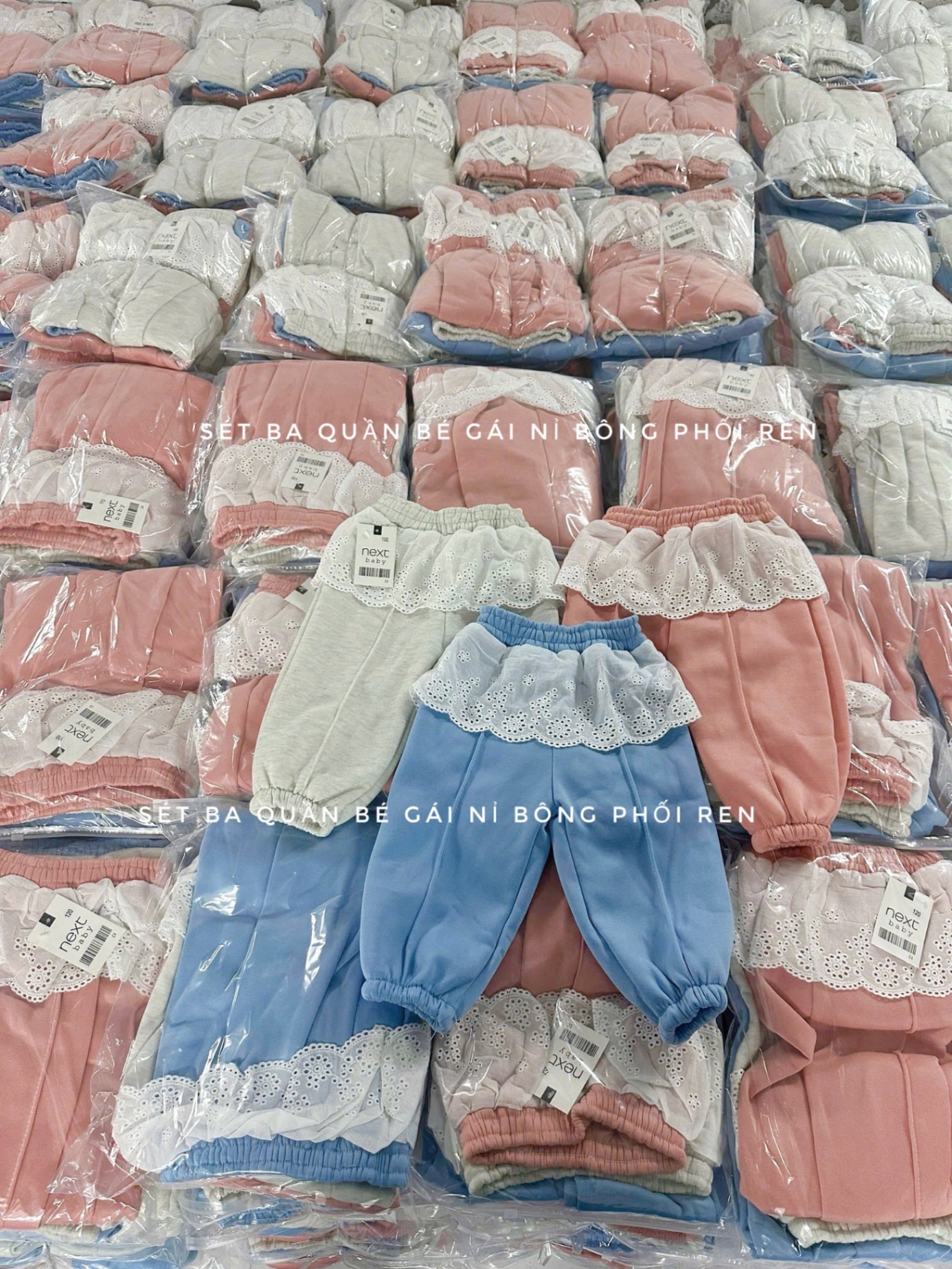 SÉT 3 QUẦN NỈ PHỐI BÈO THÔ BG
