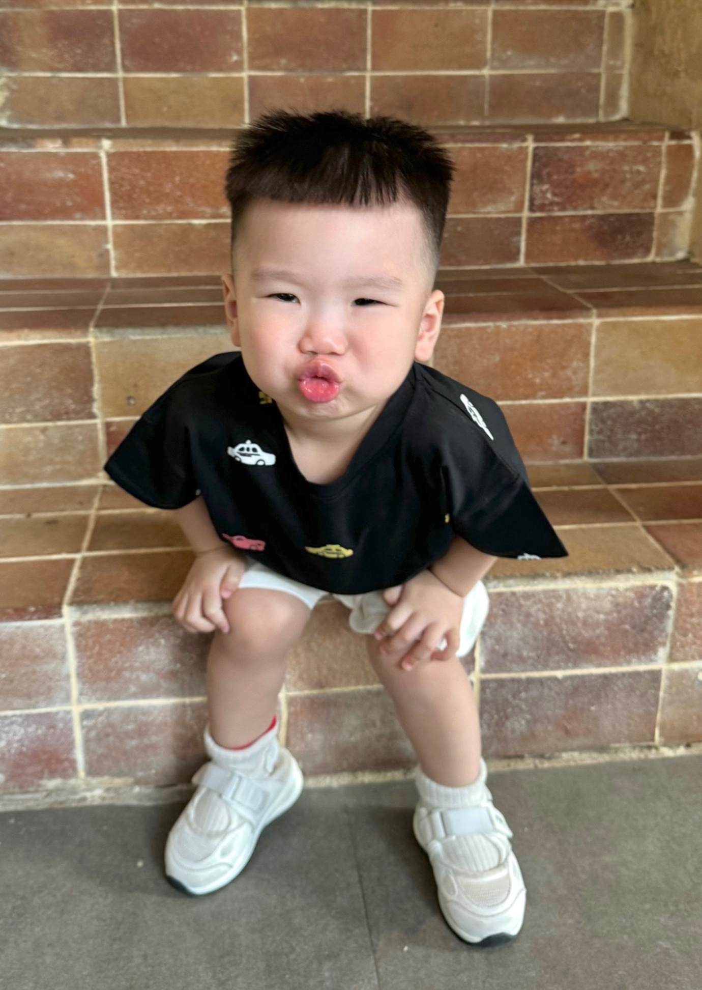 SÉT 4 ÁO HOẠT HÌNH HÌNH THÚ BT