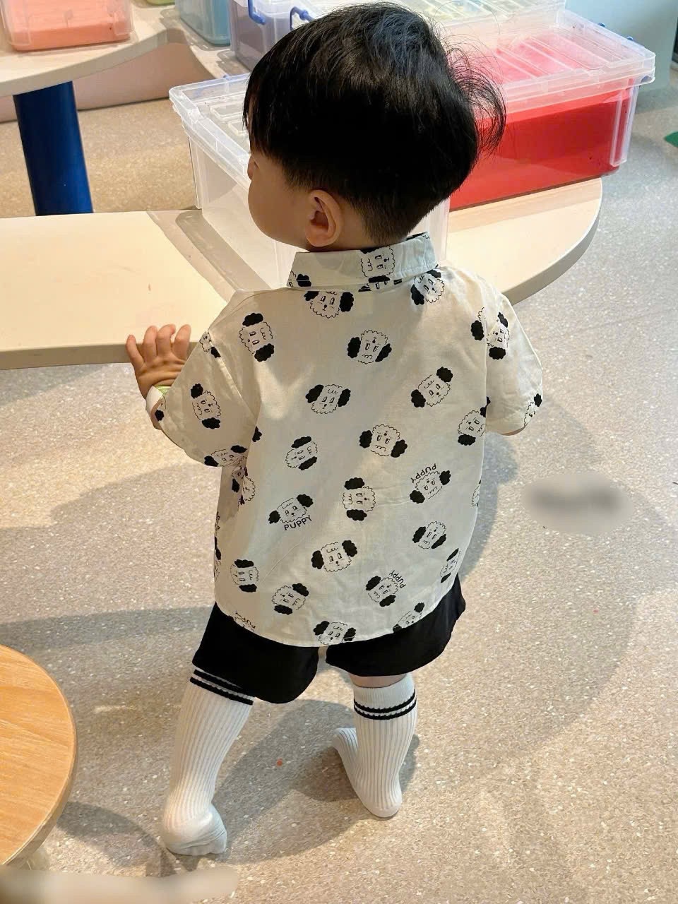 SET SƠ MI TRẮNG QUẦN THÔ HÌNH CÚN