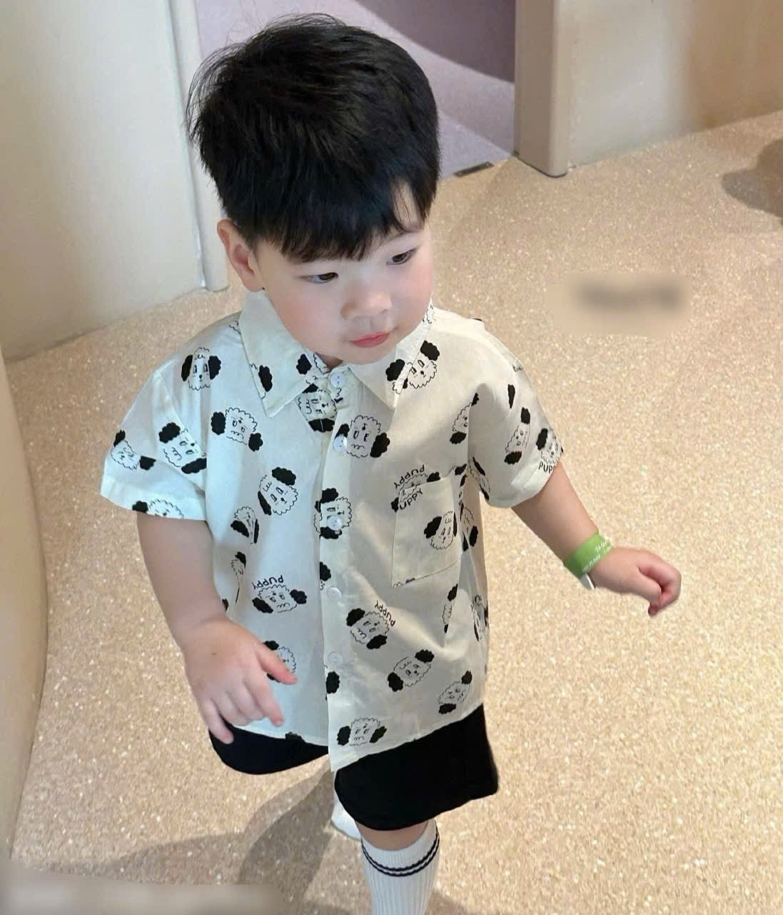 SET SƠ MI TRẮNG QUẦN THÔ HÌNH CÚN