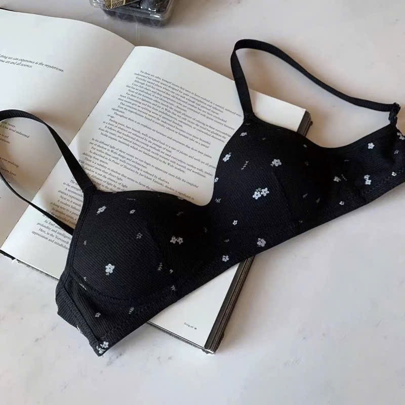 SET 3 ÁO LÓT BRA HOA NHÍ QC