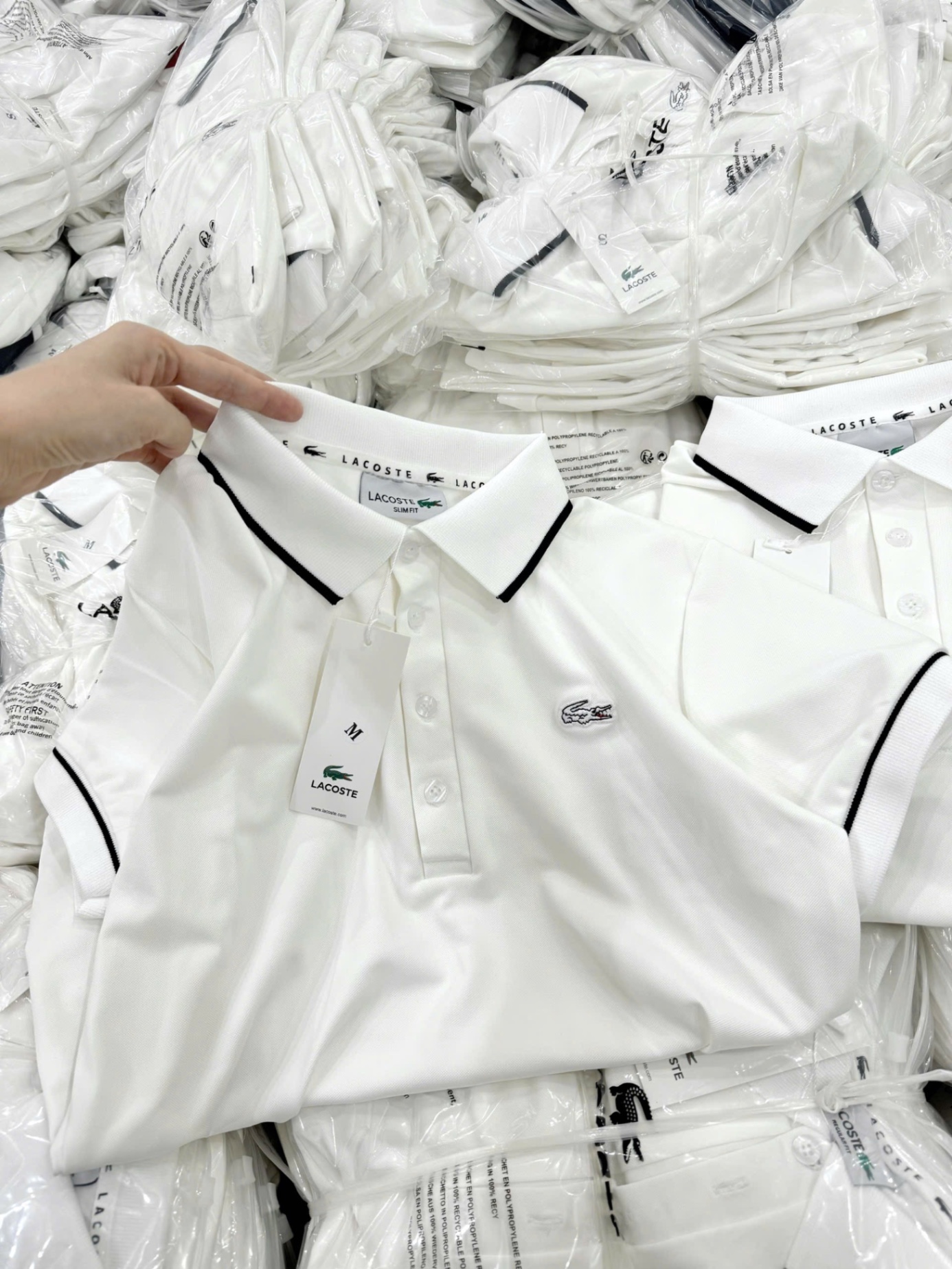ÁO POLO THÊU CÁ SẤU TRẮNG VIỀN ĐEN