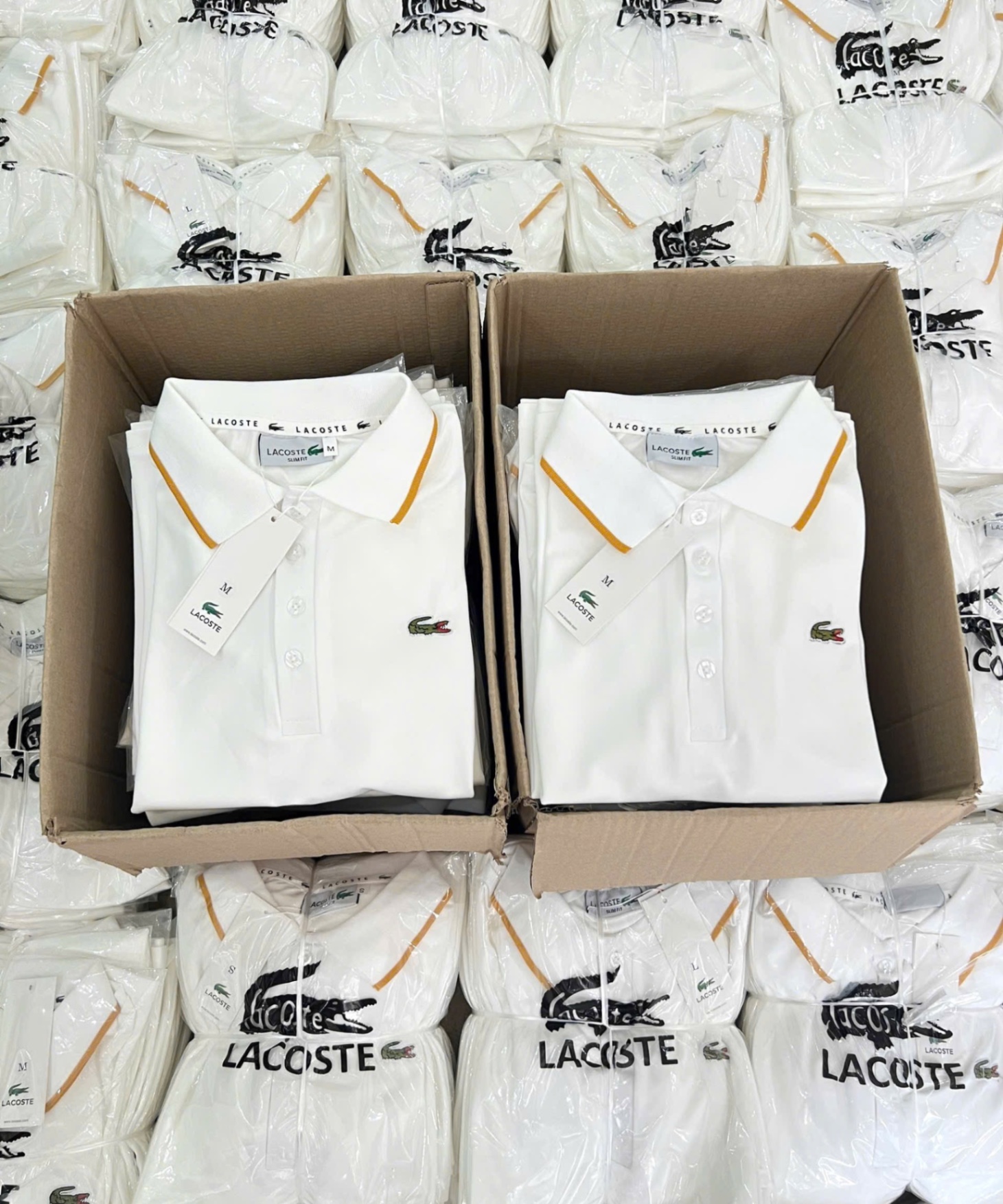 ÁO POLO LCT TRẮNG CỔ VIỀN VÀNG