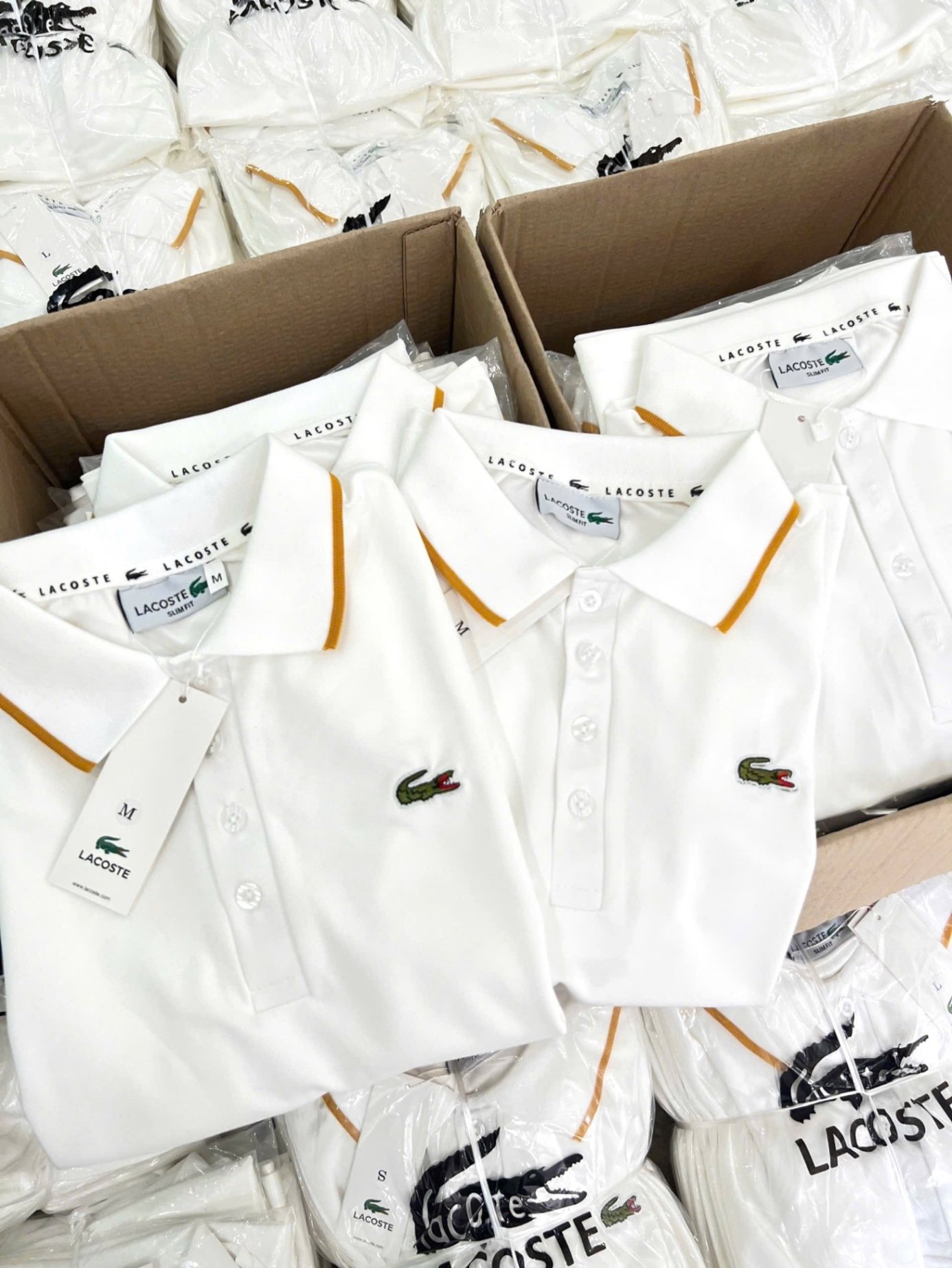 ÁO POLO LCT TRẮNG CỔ VIỀN VÀNG
