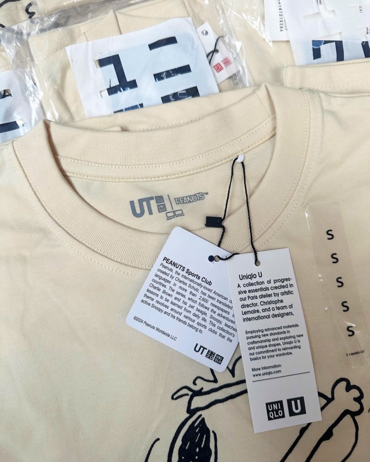 Hang nha may - ÁO PULL CỘC UNI HÌNH CÚN SNOOPY