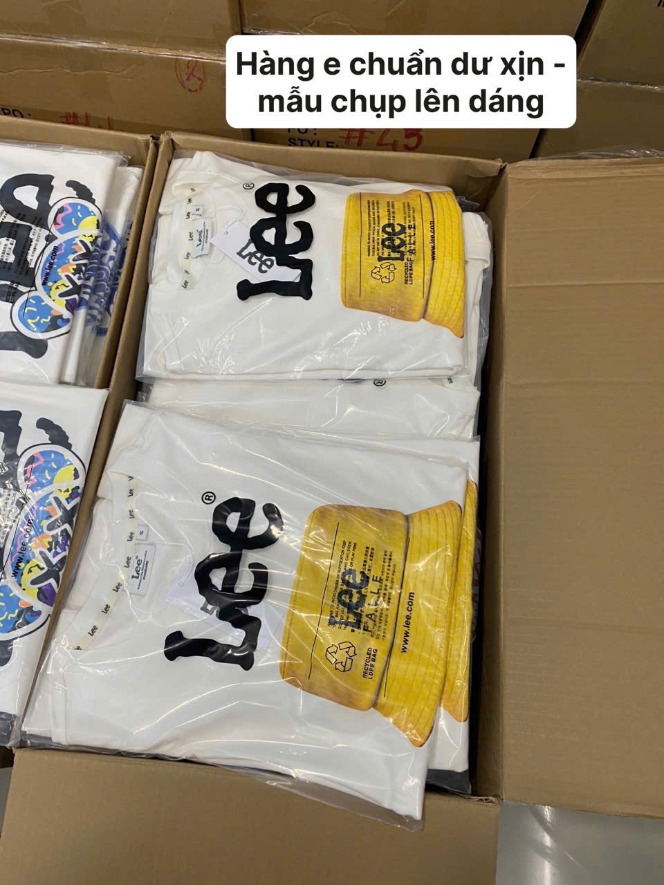 Hàng nhà máy - ÁO PULL CỘC LEE XUAT DƯ