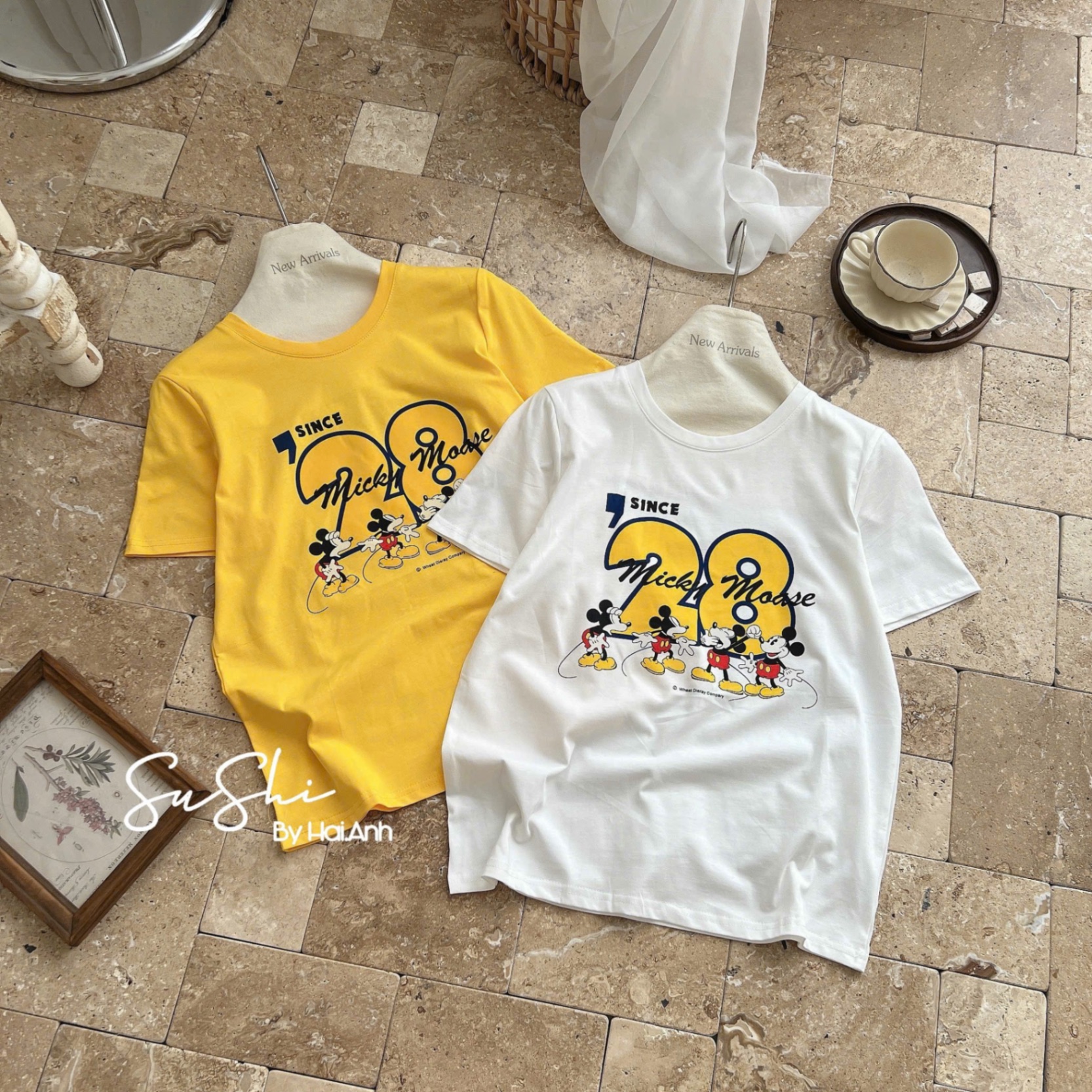 ÁO PULL CỘC MICKEY QC SỐ 28