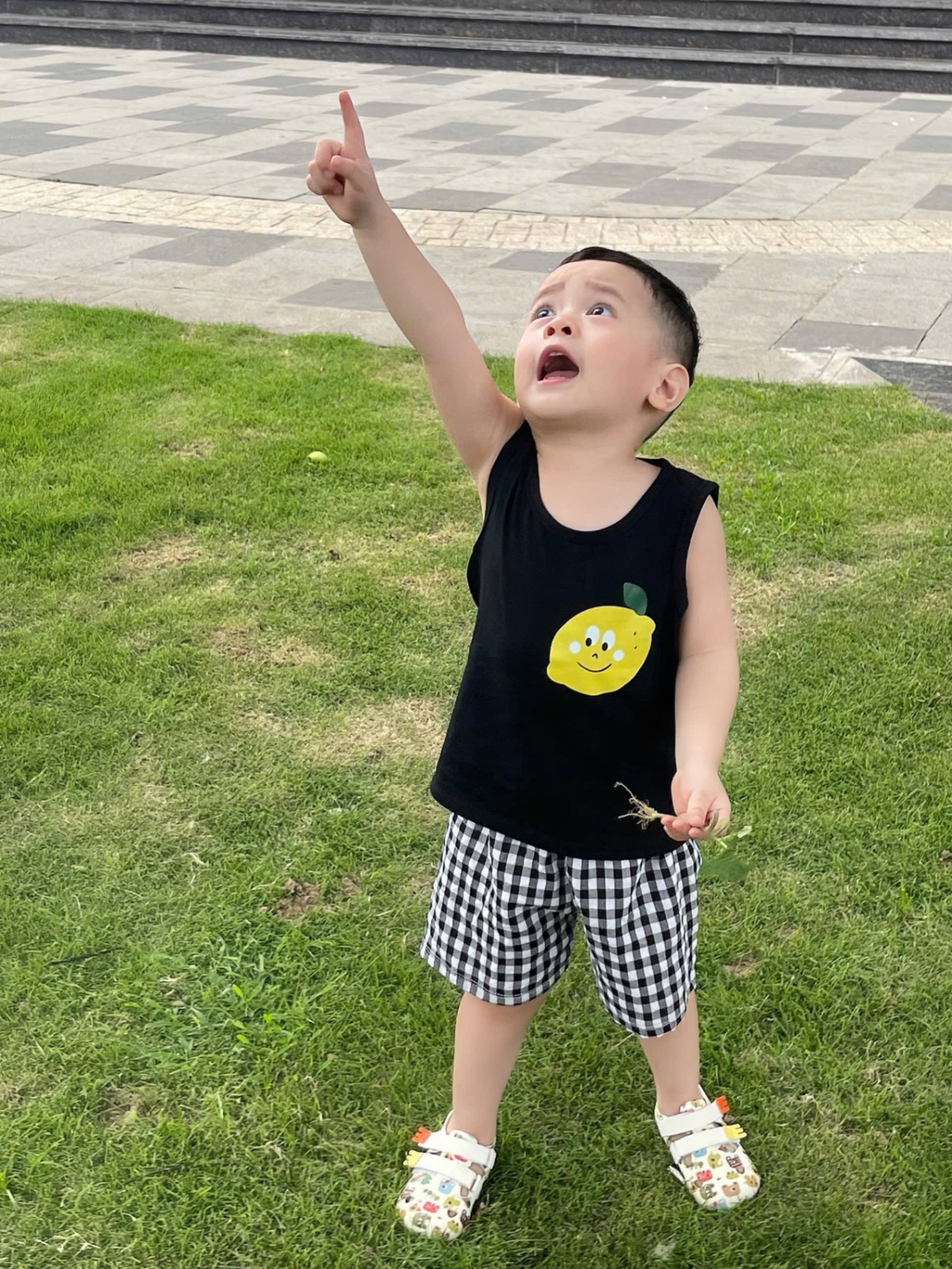 SET 3 BỘ ĐÙI BA LỖ QUẦN KẺ