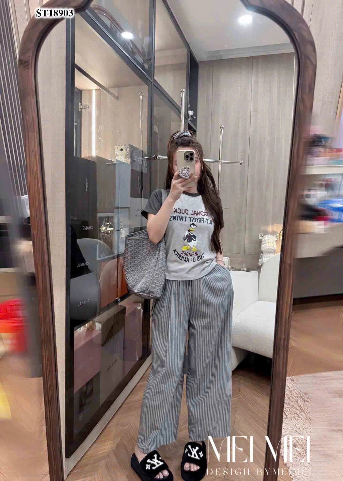BỘ CỘC GHI QUẦN KẺ HÌNH VỊT