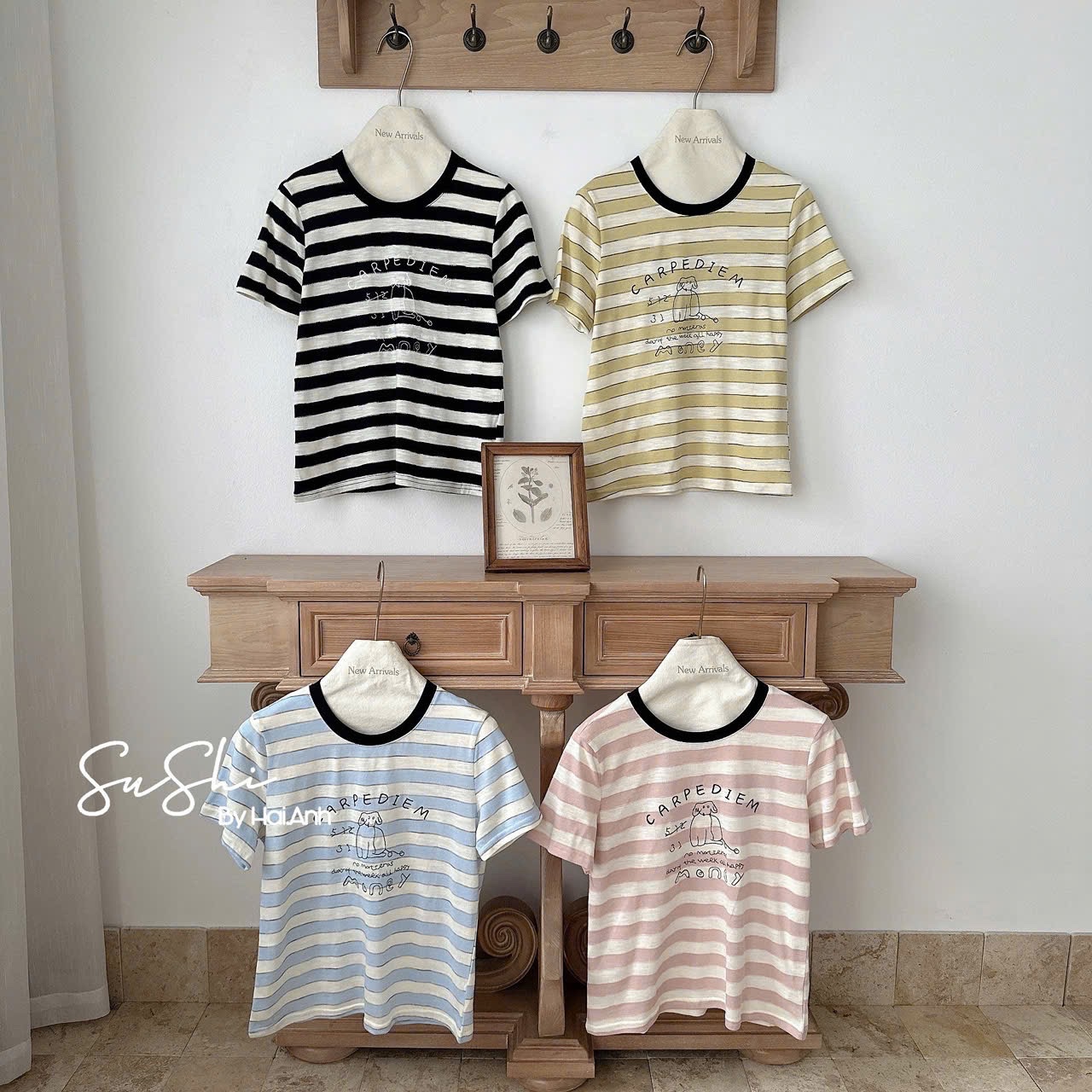 ÁO PULL CỘC KẺ MONNEY QCCC