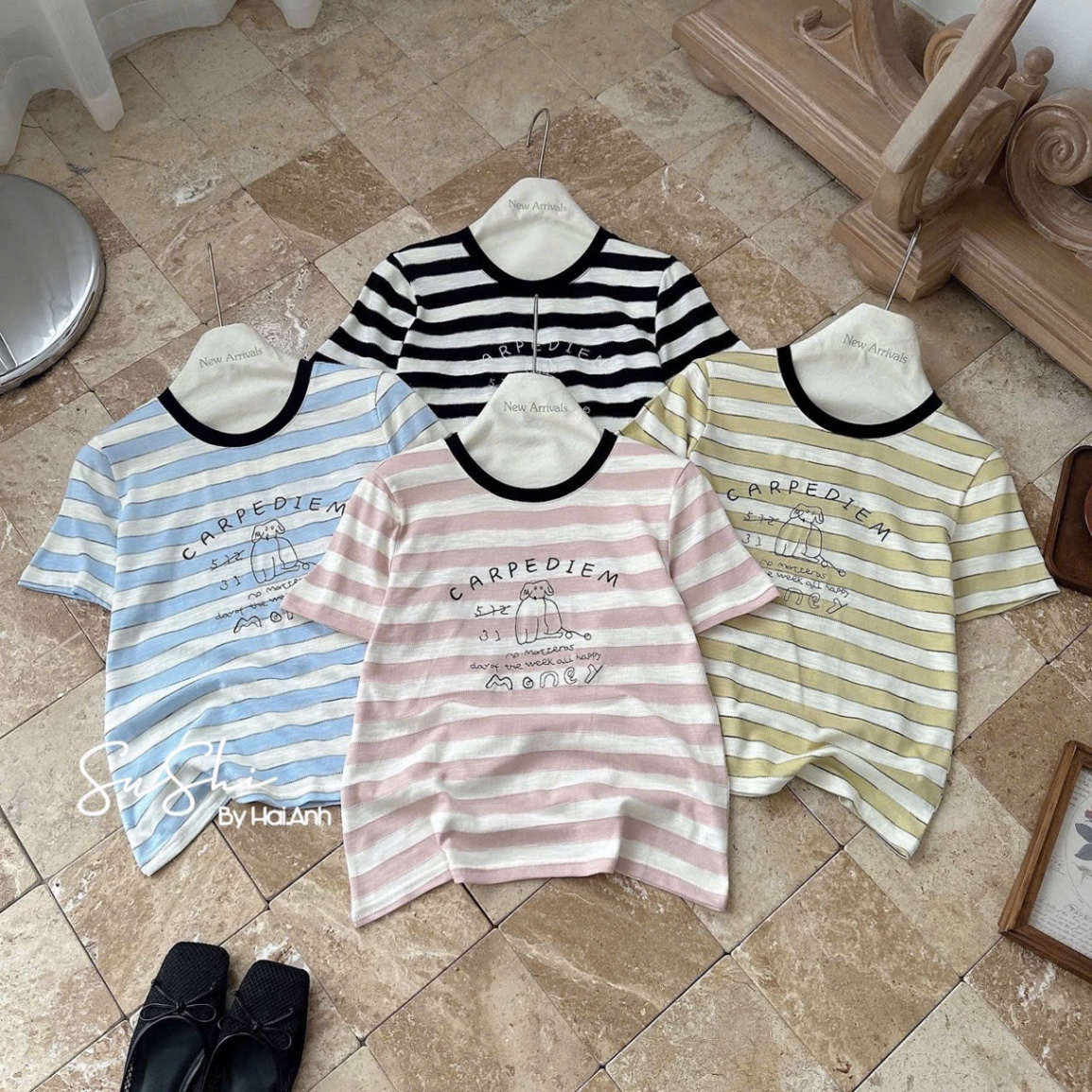 ÁO PULL CỘC KẺ MONNEY QCCC