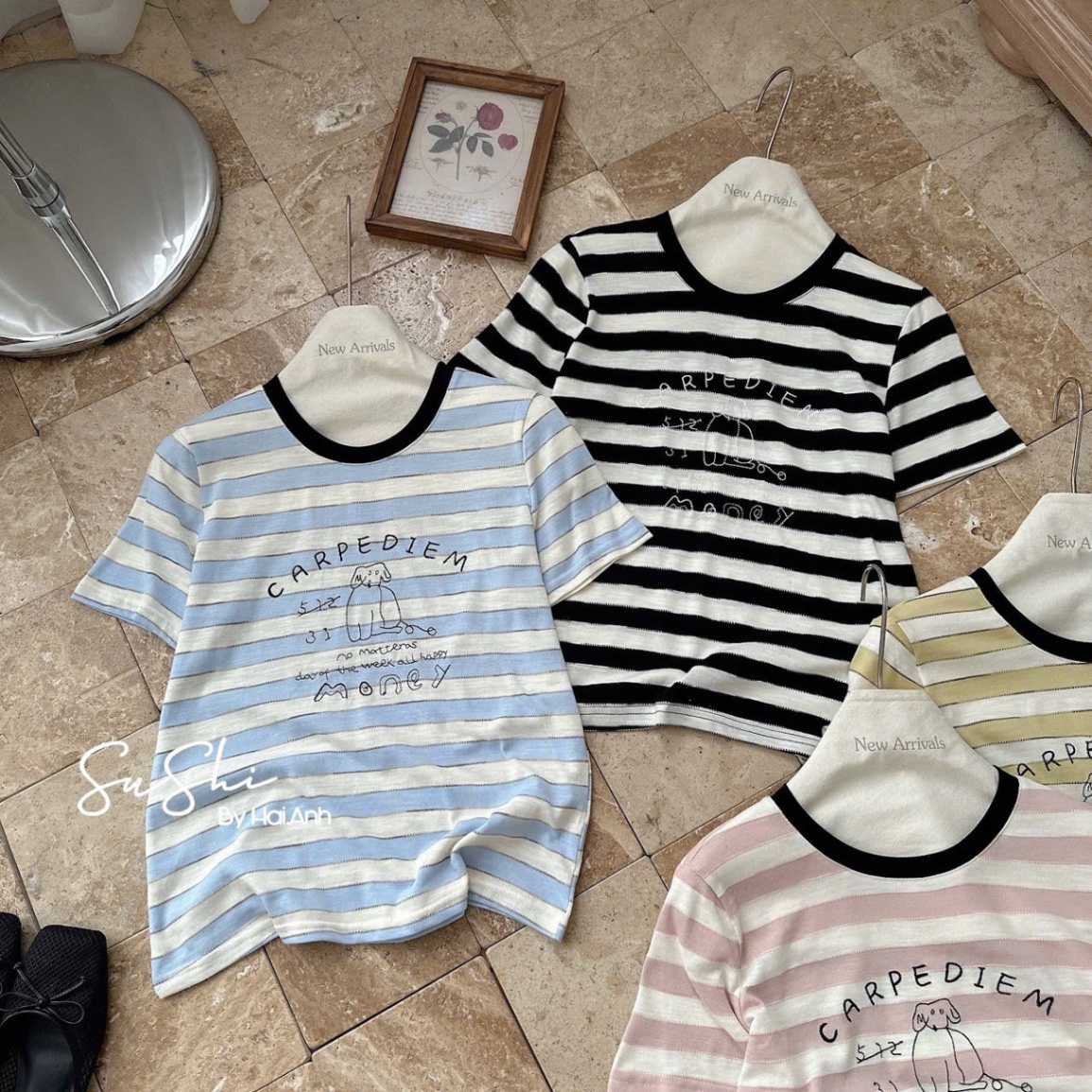 ÁO PULL CỘC KẺ MONNEY QCCC