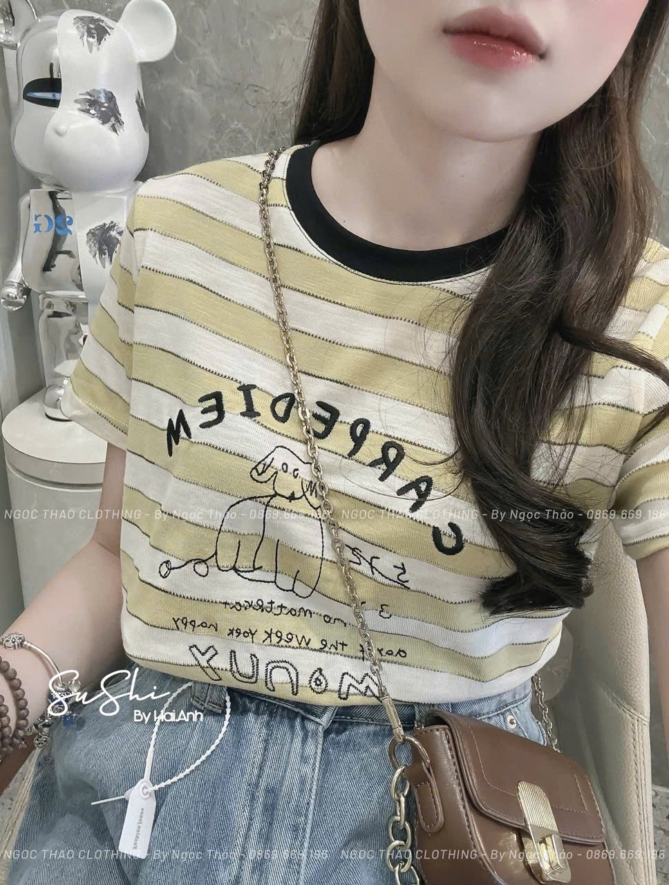 ÁO PULL CỘC KẺ MONNEY QCCC