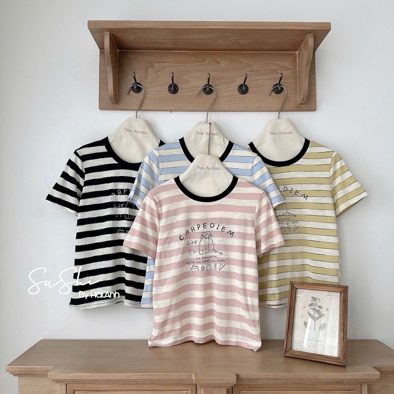 ÁO PULL CỘC KẺ MONNEY QCCC
