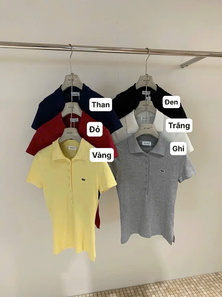 Hang nha may - ÁO LEN POLO THÊU CÁ SẤU WEGE