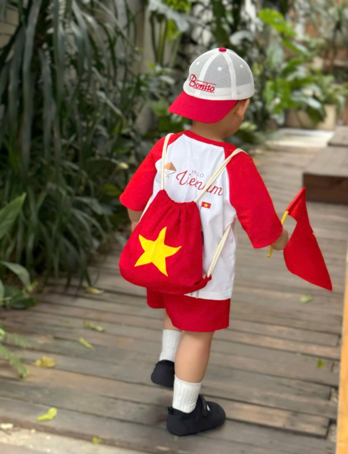 BỘ ĐÙI PHỐI ĐỎ HÌNH LĂNG BÁC CHO BT BF