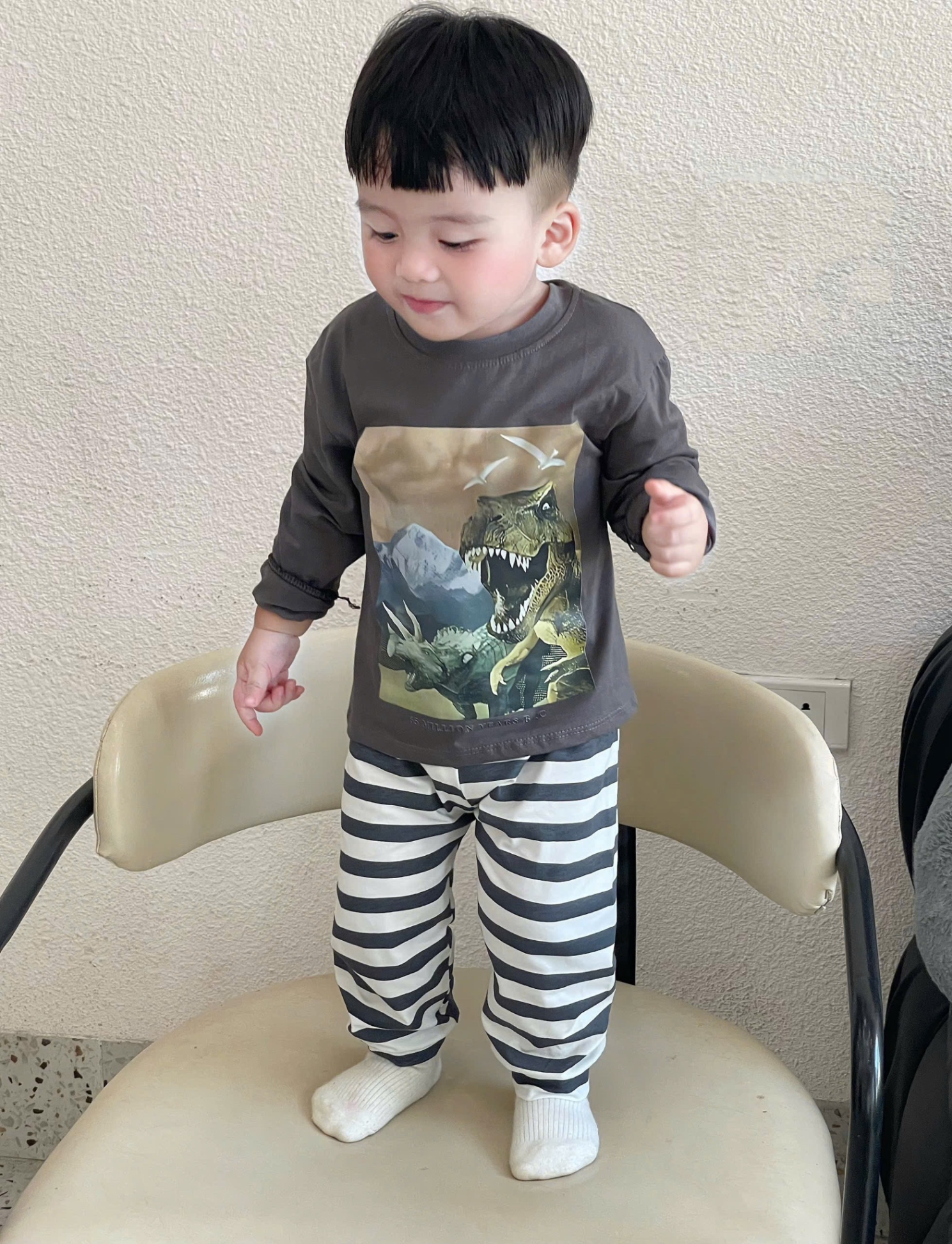 SET 3 BỘ ĐÙI HÌNH KHỦNG LONG TONE GHI NÂU