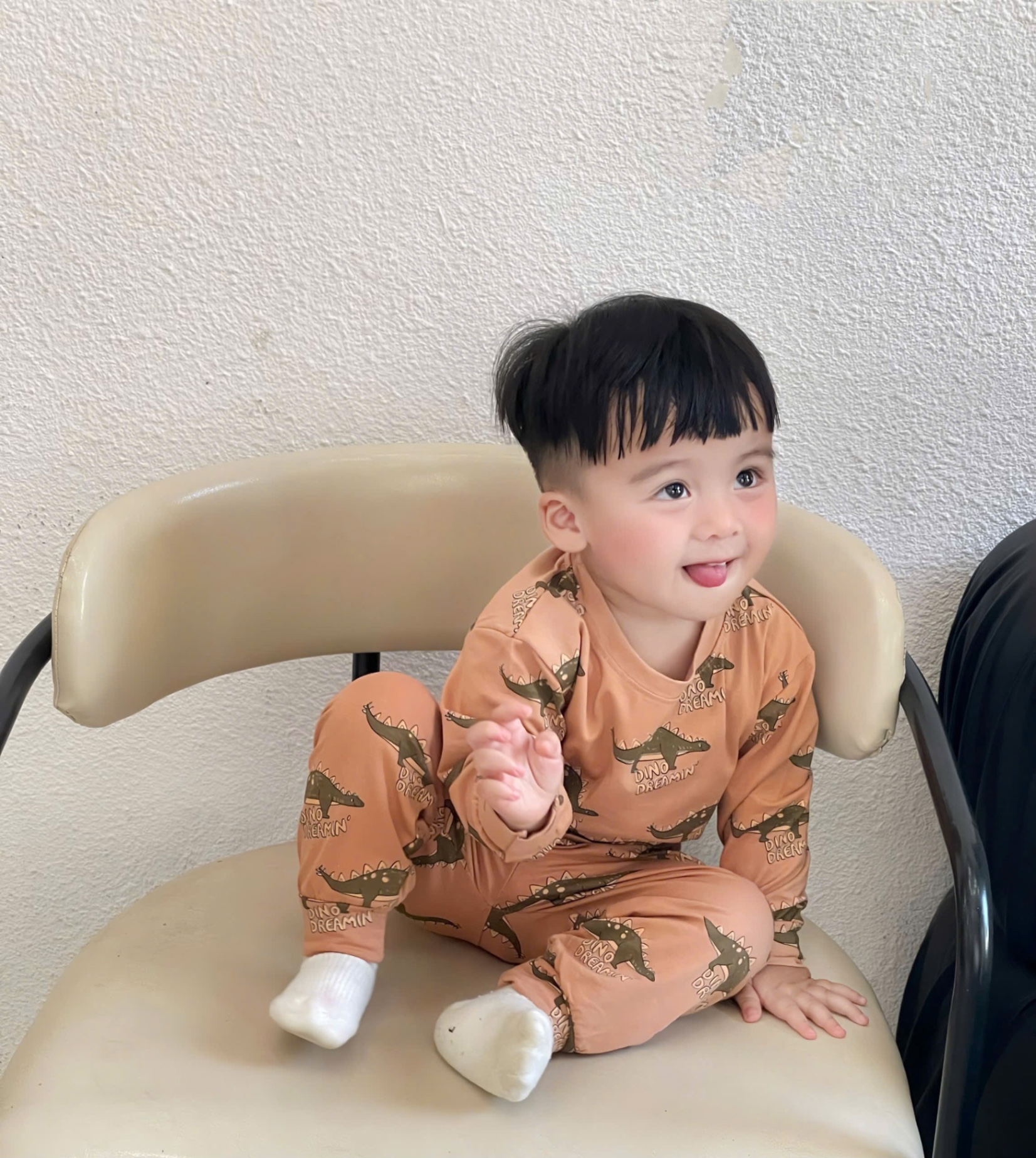 SET 3 BỘ ĐÙI HÌNH KHỦNG LONG TONE GHI NÂU