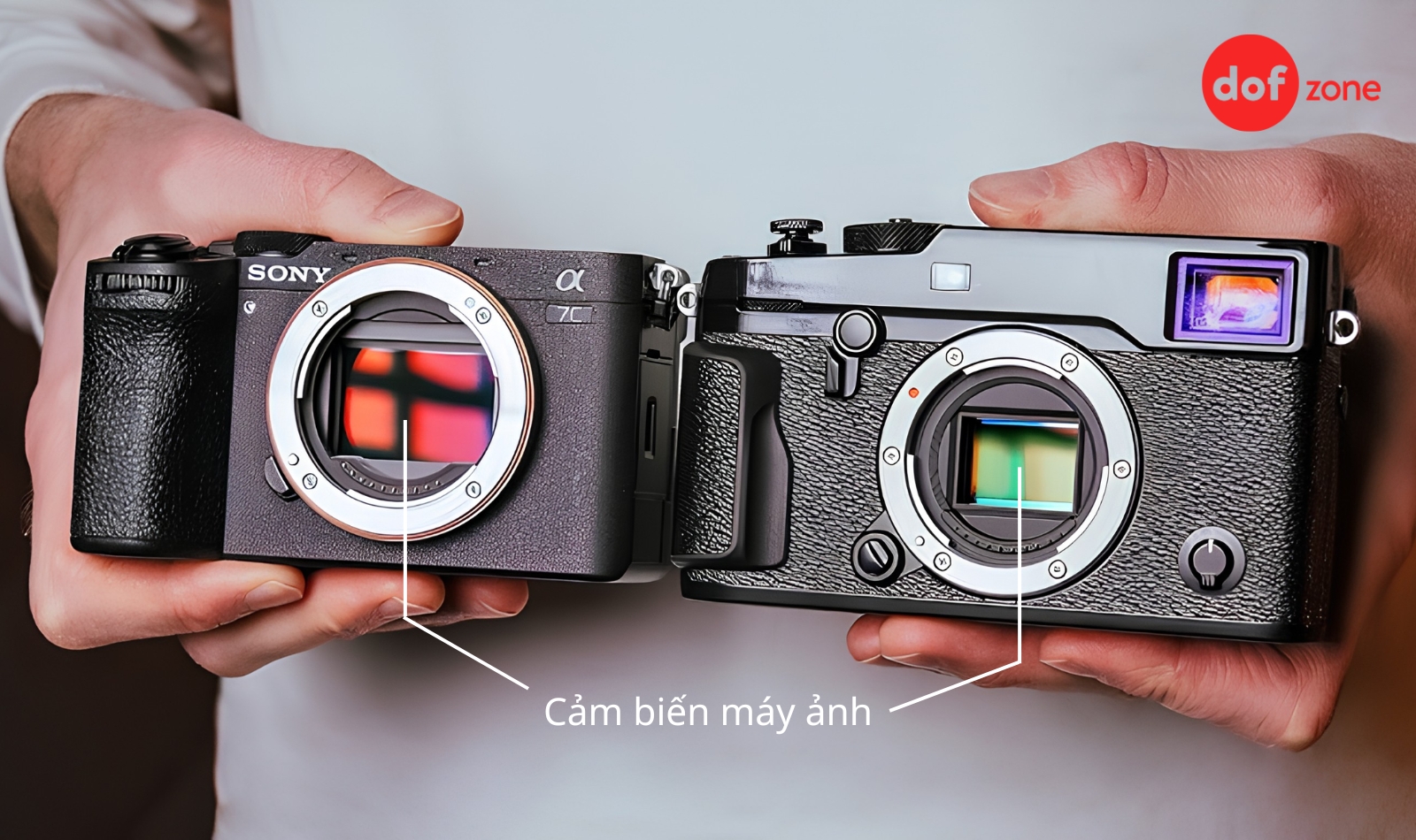 Cảm Biến Máy Ảnh Là Gì? Phân Loại Và Cách Chọn Cảm Biến