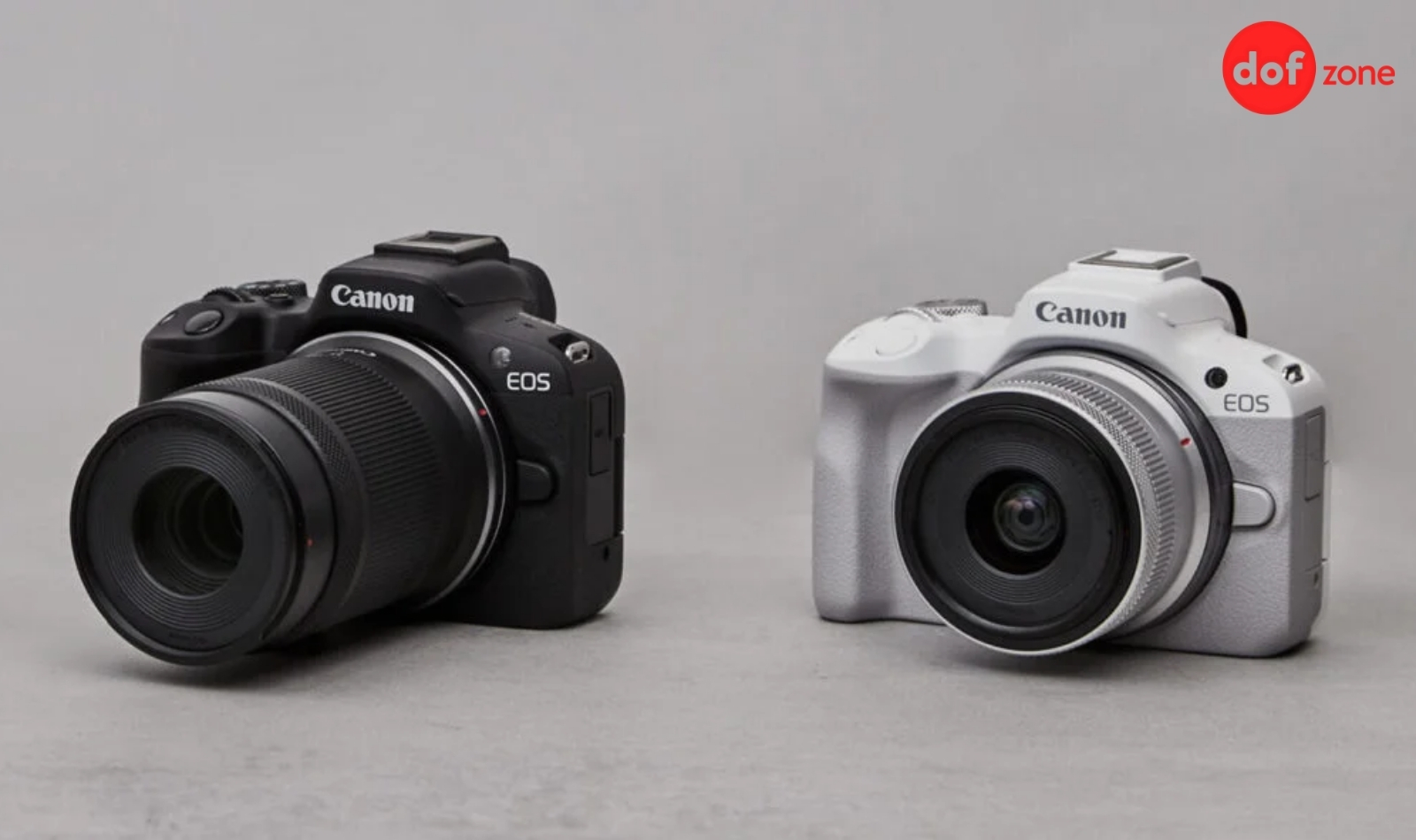 Review Canon EOS R50 - Máy ảnh tuyệt vời cho người mới