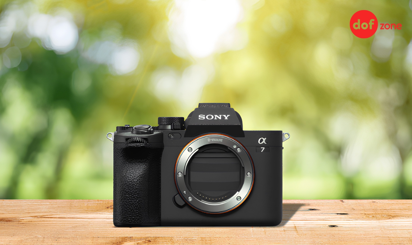 Review Sony A7 Mark V: Bước Tiến Thông Minh Mới Của Dòng Alpha 7