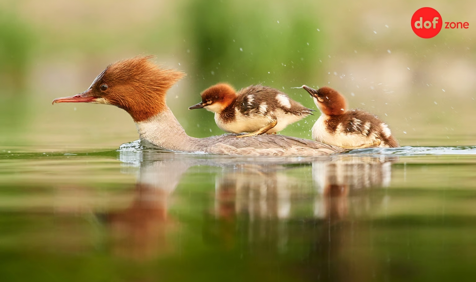 Tiêu cự là gì? Cẩm nang chọn tiêu cự máy ảnh phù hợp