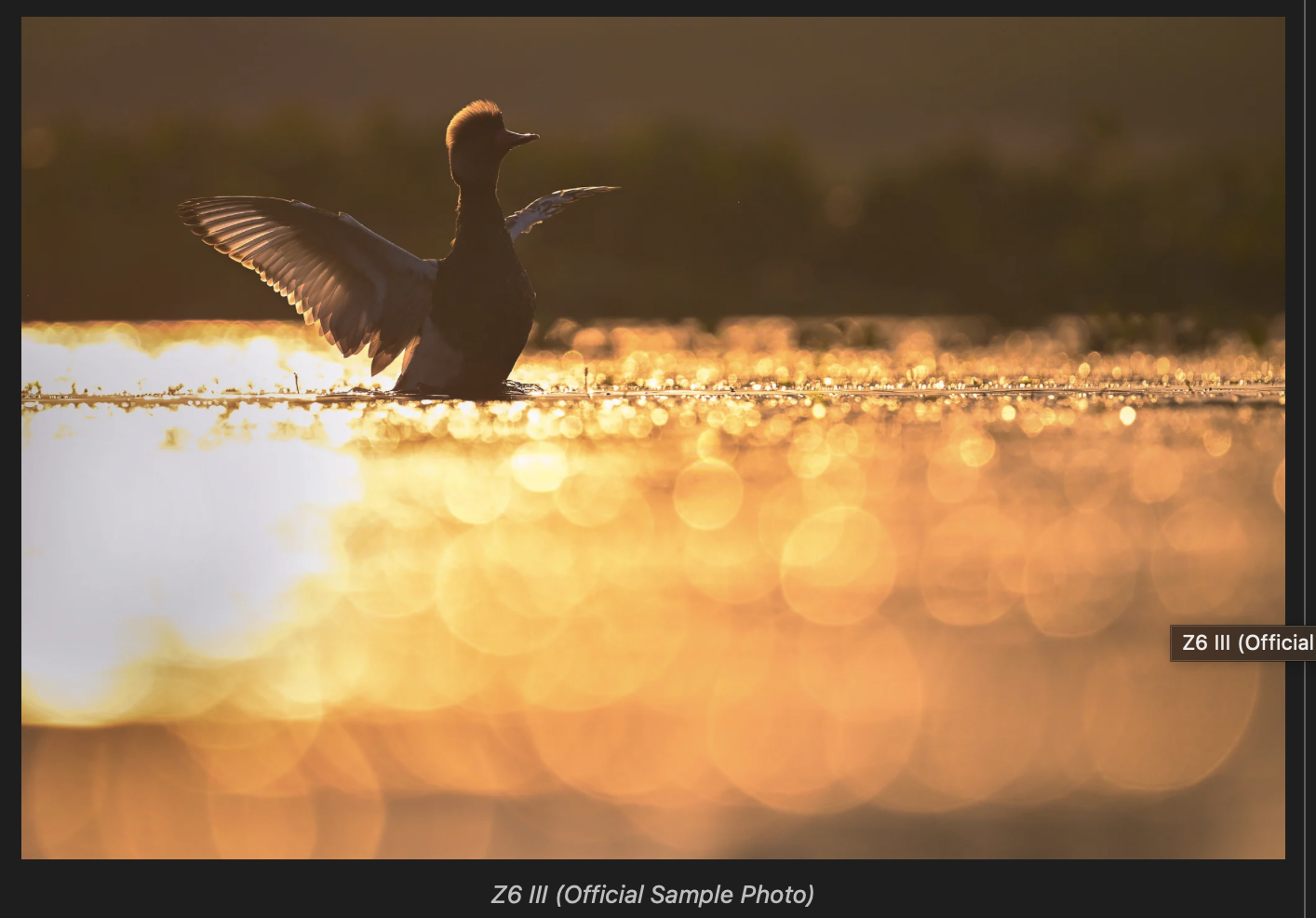 20250711_cIsP70IE.png