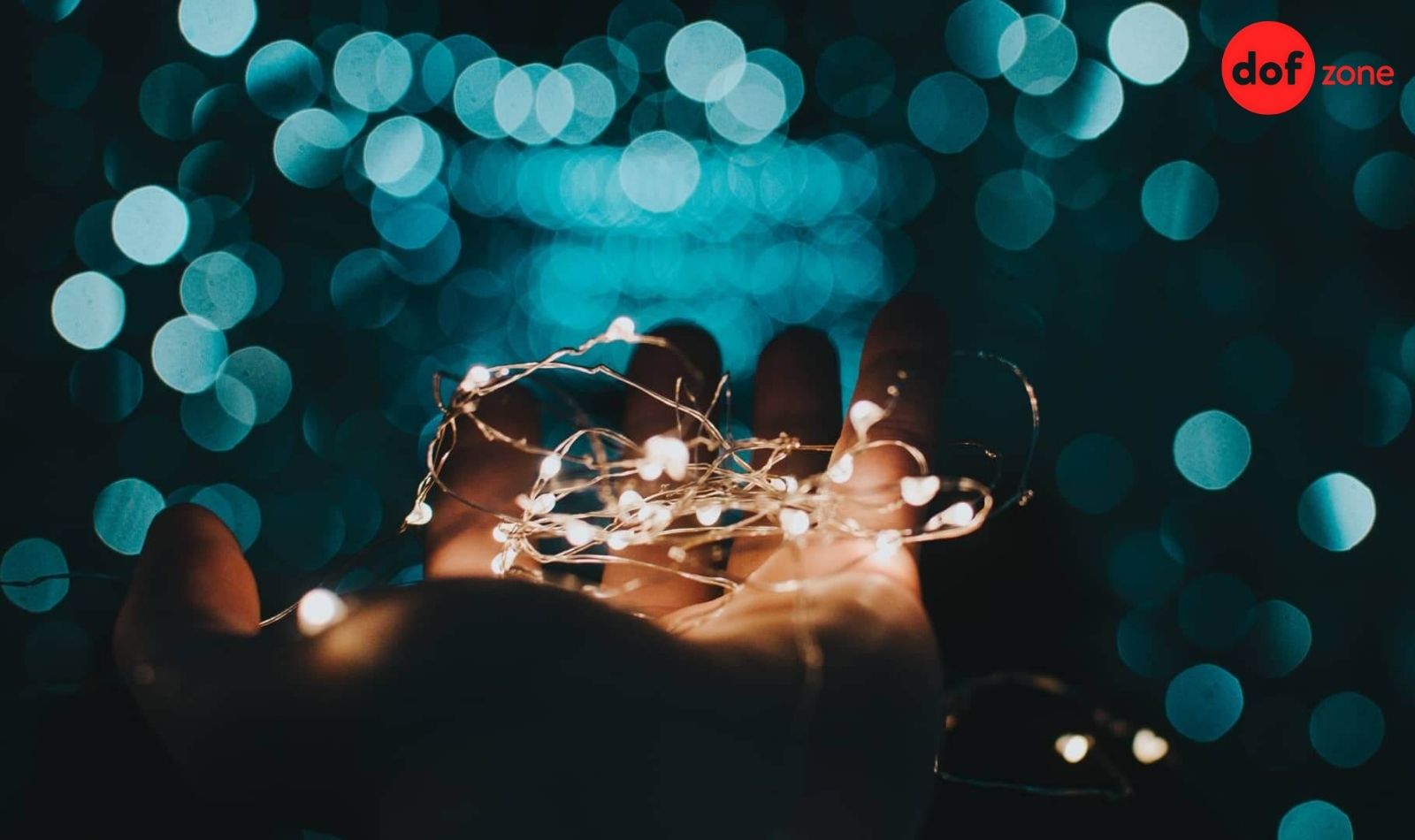 Chup-anh-hieu-ung-bokeh-la-gi-Cach-tao-hieu-ung-bokeh-dep-10.jpg