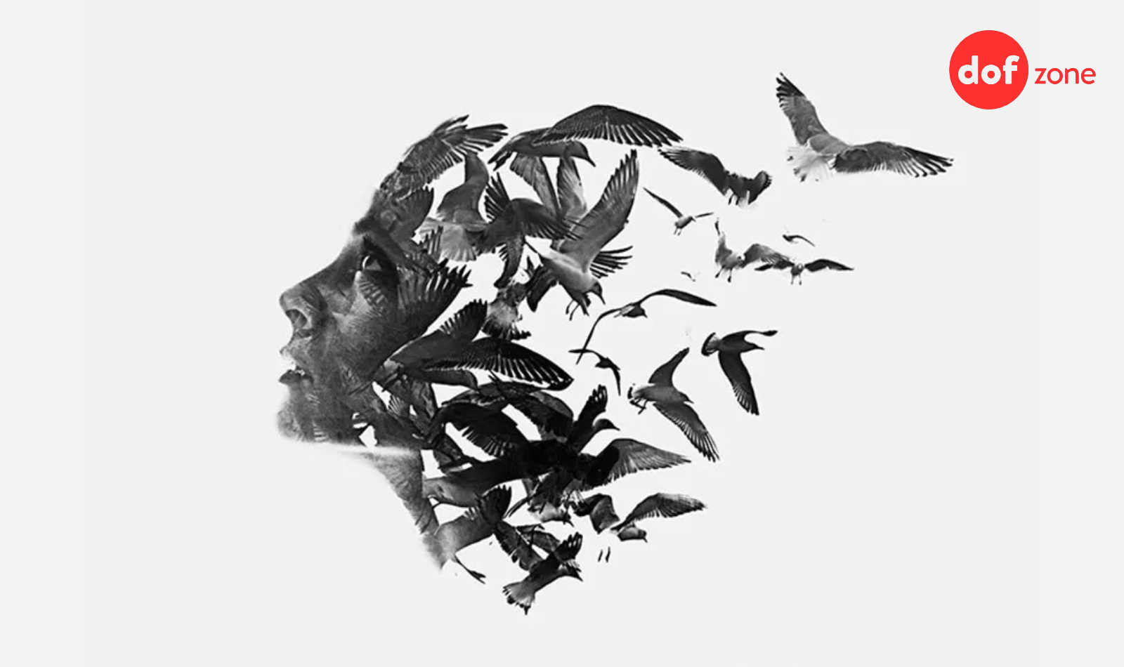 Double-Exposure-la-gi-7-ung-dung-chinh-anh-phoi-sang-kep-8.jpg