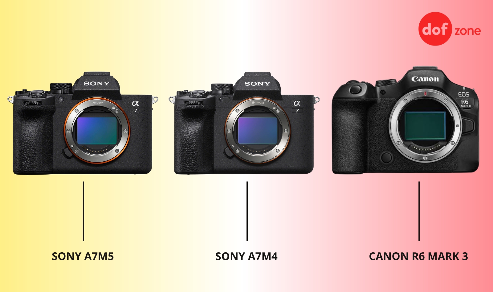 So sánh Sony A7M5 với Sony A7M4 và Canon R6 Mark III