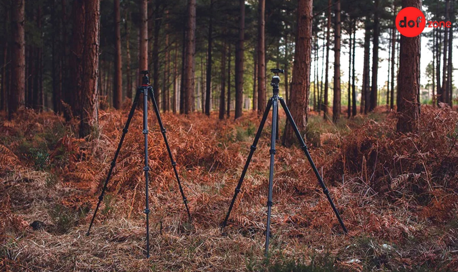 So-sanh-Gimbal-voi-Tripod-Nen-su-dung-cai-nao-khi-di-du-lich--20.jpg