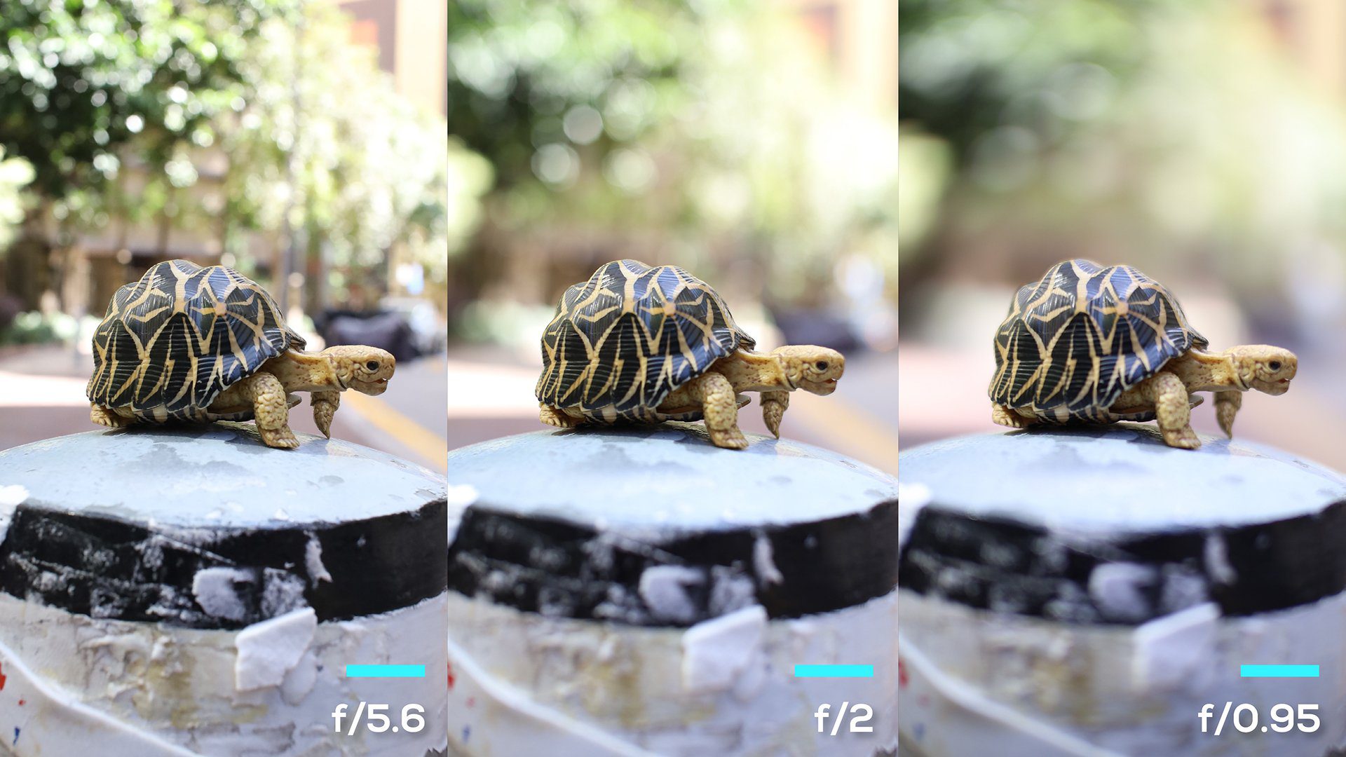 02_Argus-25mm-CF-APO_Aperture-Comparison.jpg