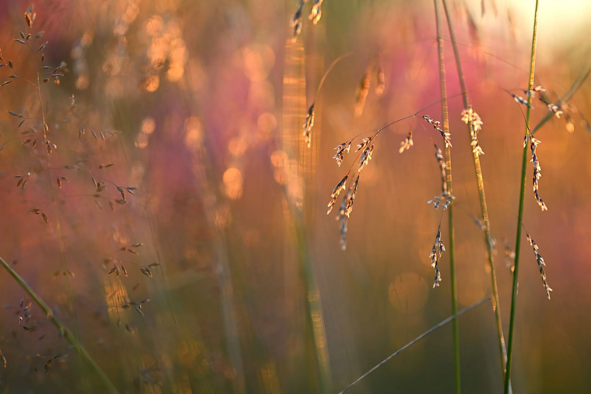 20230928_u2RjFFlF.webp