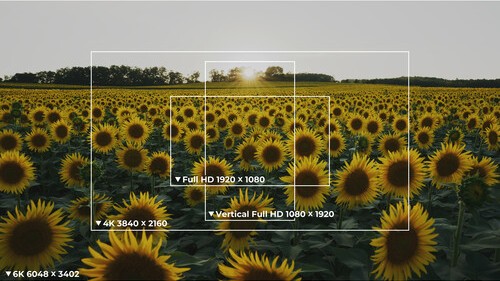 20250912_YD0DDNJQ.jpg