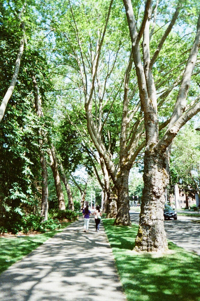 May-anh-Film-Kodak-Ektar-H35N-Chinh-Hang-6.jpg?v=1769686237