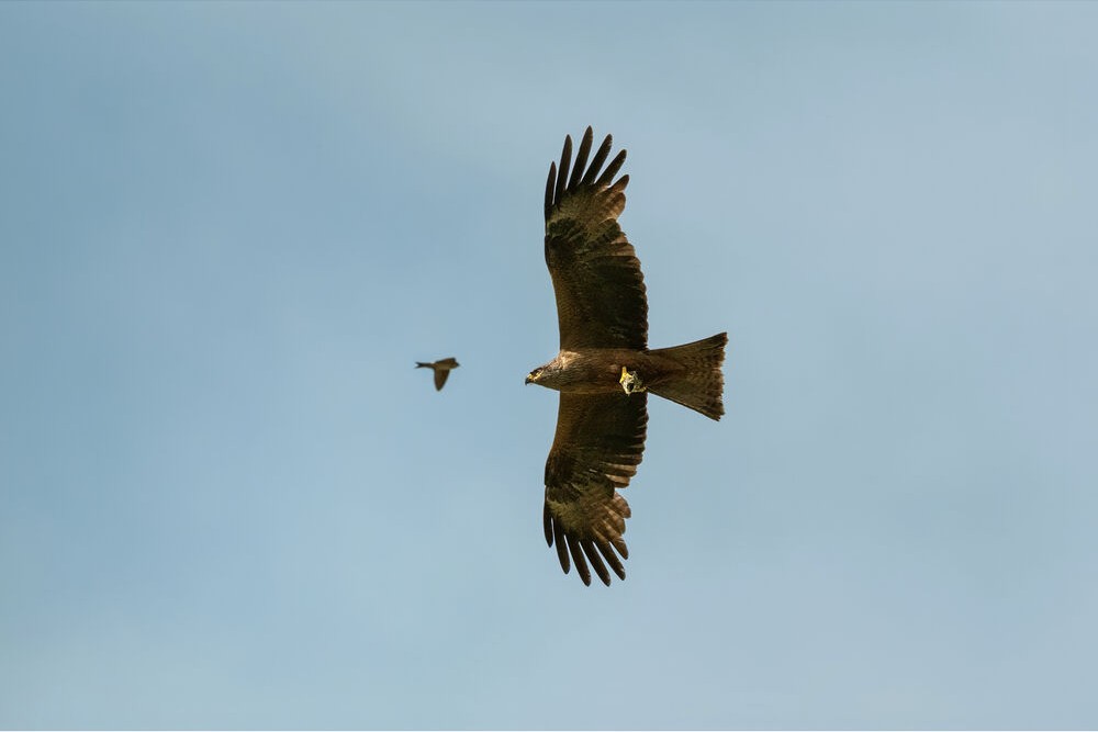 Ong-kinh-Fujinon-XF-400mm-F4-5-R-LM-OIS-WR-Chinh-Hang-11.jpg?v=1790959181