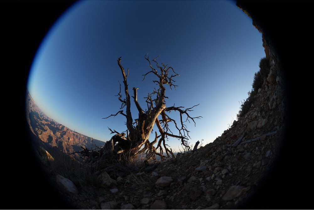 Sony-FE-8-14mm-F3-5-Fisheye-G-SEL814G-Chinh-Hang-23.jpg?v=1790323325