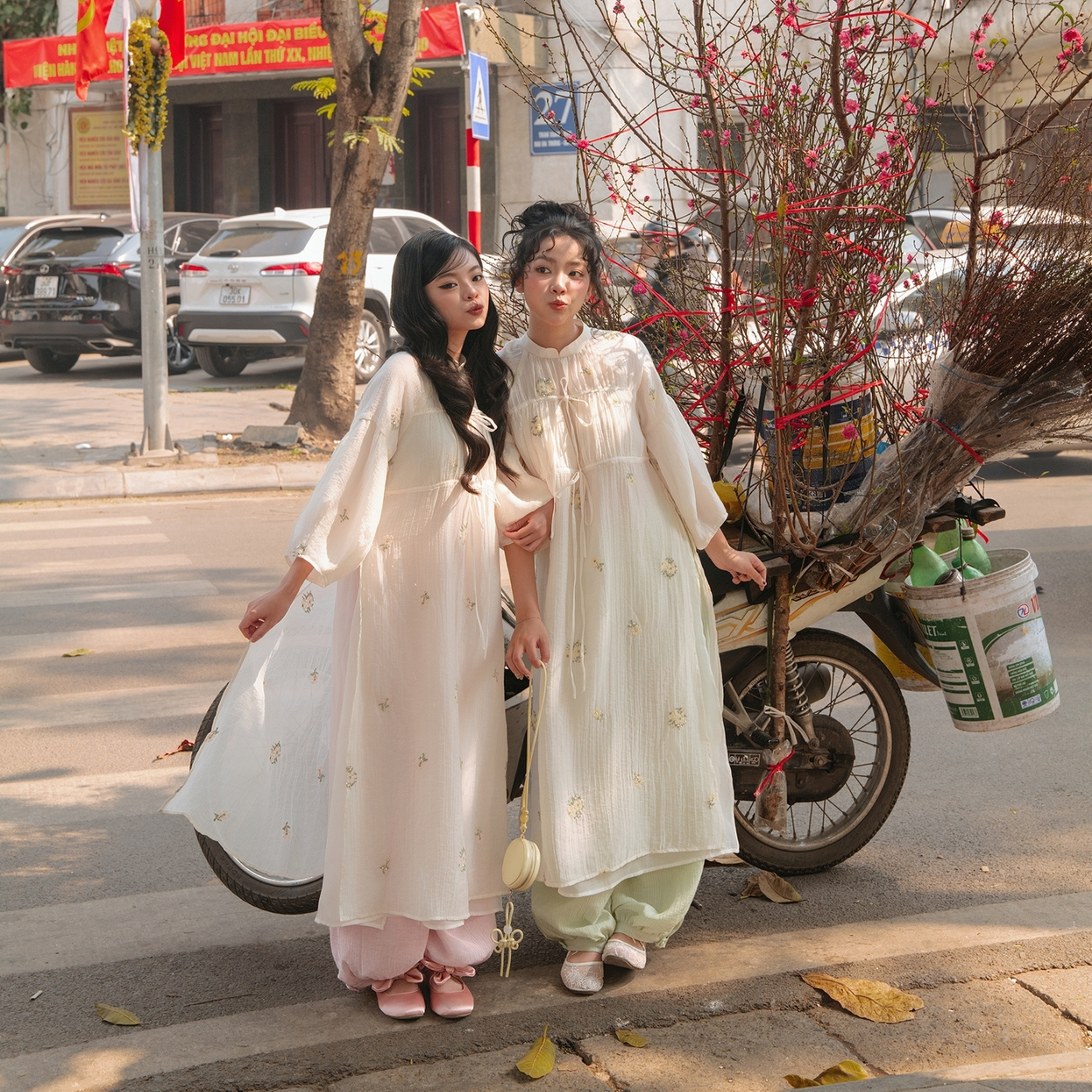 Bông Mai