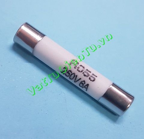 Cầu chì sứ 6A 250V 5x25MM RO55
