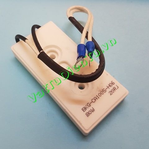 Điện trở 20R 80W 20RJ BKG-20R80W