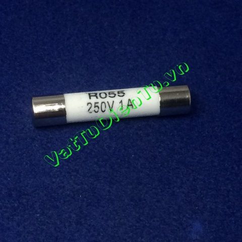Cầu chì sứ1A 250V 5x25MM RO55