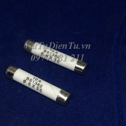 Cầu chì sứ 10A 250V 6x30MM RO58