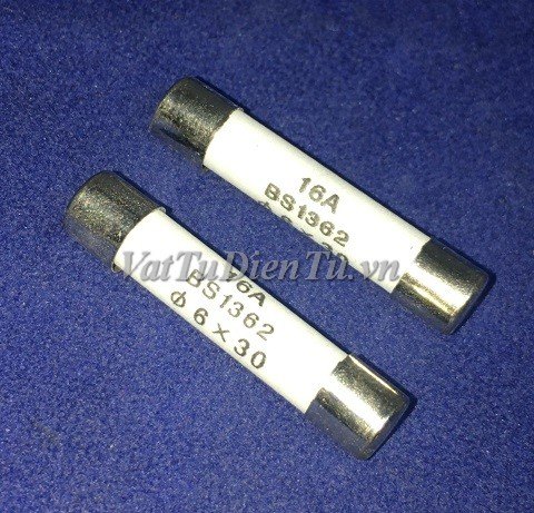 Cầu chì sứ 16A 250V 6x30MM RO58