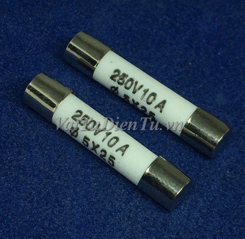 Cầu chì sứ 10A 250V 5x25MM RO55