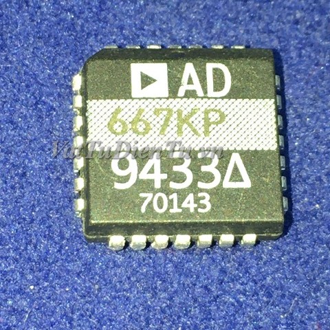 20230415_jbgXcmjG.jpg