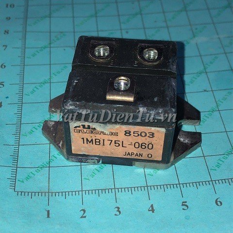 1MBI75L-060 Module IGBT FUJI (HTM)