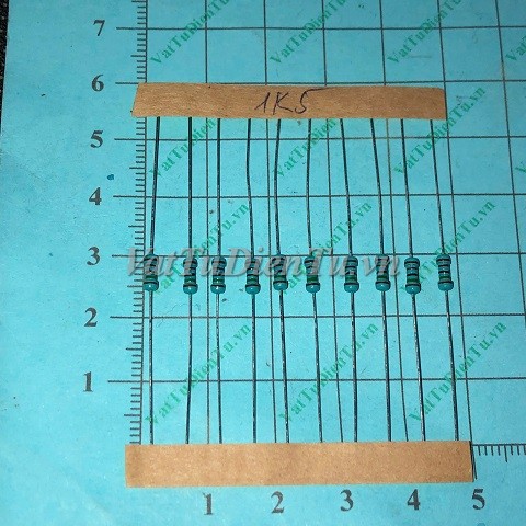 20250109_6c72YccE.jpg