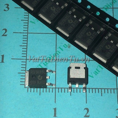 20250328_Kdn5rlzp.JPG
