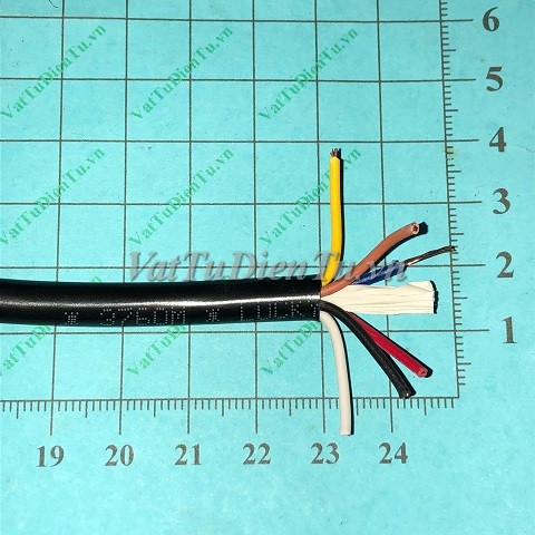 20250428_skaI1Tlr.JPG